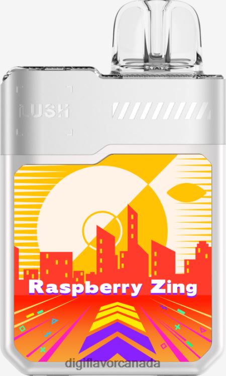 Digiflavor Ottawa - 4BBPHH12 Digiflavor Geekbar LUSH Disposables Raspberry Zing